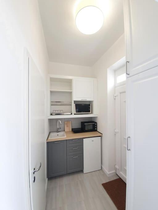 Master Apartment With Air Condition And Separated Rooftop Terrace Budapesta Exterior foto