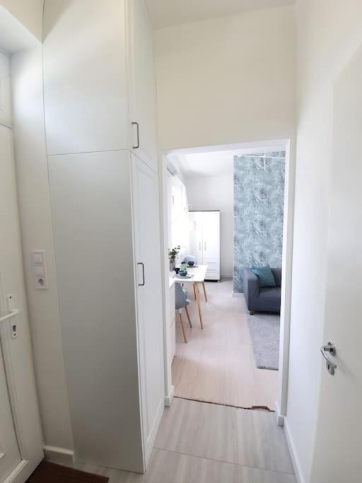 Master Apartment With Air Condition And Separated Rooftop Terrace Budapesta Exterior foto