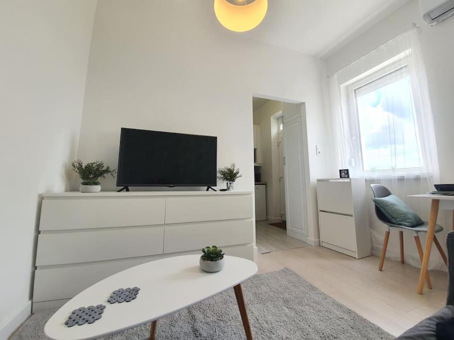 Master Apartment With Air Condition And Separated Rooftop Terrace Budapesta Exterior foto
